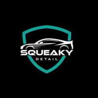 Squeaky Detail & Ceramic Coatings Logo