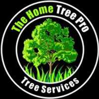 The Home Tree Pro Logo