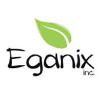 Eganix, Inc. Logo