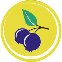 Blueberry's Grill Logo