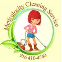 Meticulosity Cleaning Logo
