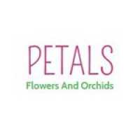 Petals Flowers & Orchids Logo