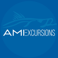 AMI Excursions Logo