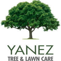 Yanez Tree and Lawn Care Logo