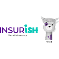 Virtual Insurance Agency LLC dba Insurish, LLC Logo