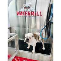 Watermill Auto & Pet Wash Logo