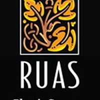 Ernesto J Ruas MD Logo