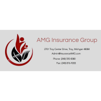 AMG Health & Life Insurance Group Logo