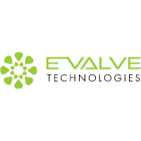 E-Valve Technologies IT Services Logo
