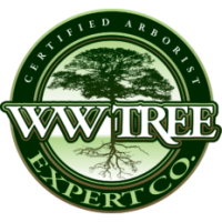 WW Tree Expert Company Logo