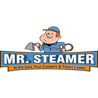 Mr. Steamer Carpet & Floor Cleaner Logo