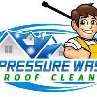 A-1 Pressure Washing & Roof Cleaning Logo