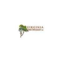 Virginia Tree Specialist Logo