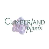 Cumberland Plants Logo