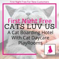 Cats-Luv-Us Boarding Hotel Logo