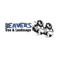 Beaver's Tree And Landscape Logo
