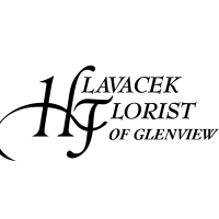 Hlavacek Florist of Glenview Logo