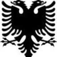 Albanian Bail Bonds LLC Logo