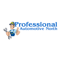 Professional Automotive Logo