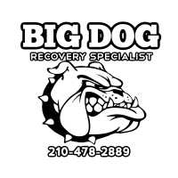 Big Dog Recovery Specialist Logo