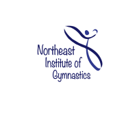 Northeast Institute of Gymnastics Inc Logo