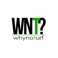 Why Not Turf Logo
