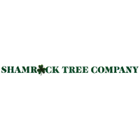 Shamrock Tree Company Logo