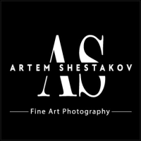 Artem Shestakov Fine Art Logo