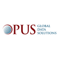 OPUS Global Data Solutions, LLC Logo