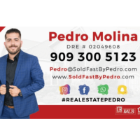 Real Estate Pedro Molina Logo