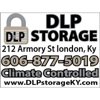 DLP Storage Logo