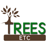 Trees Etc Logo