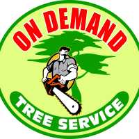 On Demand Tree Service Logo