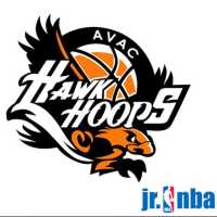 Hawk Hoops Jr. NBA Logo
