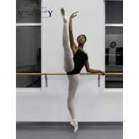 National Ballet Academy New York Logo