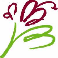 Picazos Flower Designs Logo