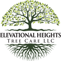 Elevational Heights Tree Care LLC Logo