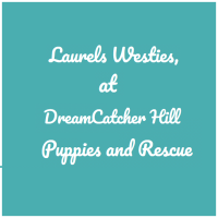 DreamCatcher Hill Puppies and Rescue Logo