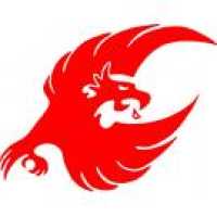 Phoenix Security Hawaii Logo