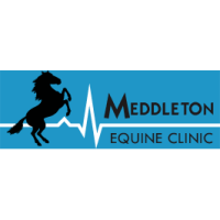Meddleton Equine Clinic Logo