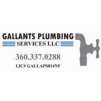 Gallants Plumbing Services, LLC Logo