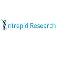 Intrepid Research Logo