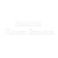 Baseline Flowers Logo