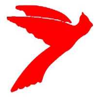 Cardinal Inc Logo