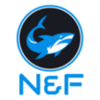 N & F ACCOUNTING LLC Logo