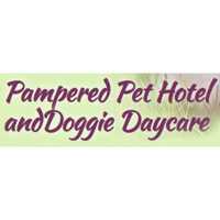 Pampered Pet Grooming Logo