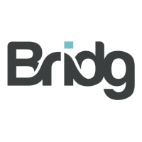 Bridg Logo