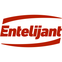 Entelijant Logo