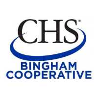 Bingham Ag Services Logo