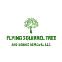 Flying Squirrel Tree and Debris Removal LLC Logo